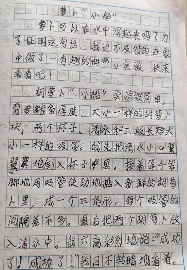 萝卜在水中是浮还是沉?孩子用实验作文告诉你答案,结果很有意思 1