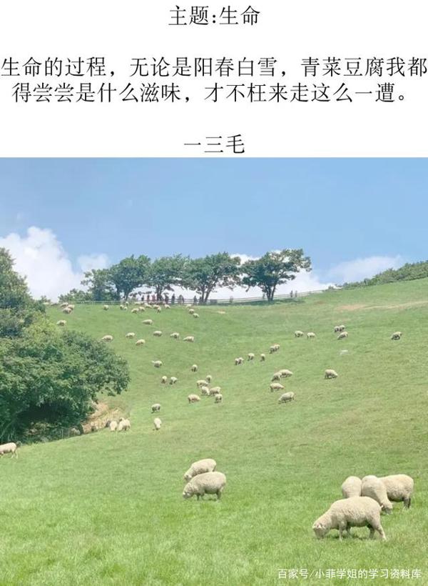 作文素材:百用不腻的宝藏句子 5