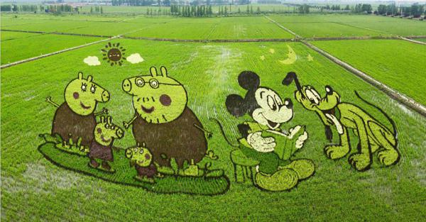 全景呈现:方正县首届稻作文化节盛大开幕! 15