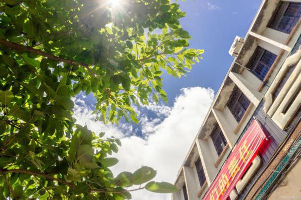 2019年潍坊市中考作文：缺憾，更是一种美丽