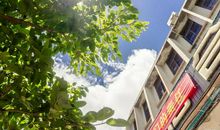 2019年潍坊市中考作文：缺憾，更是一种美丽