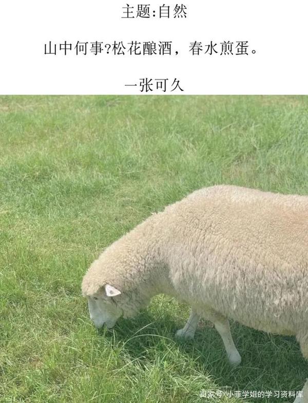 作文素材:百用不腻的宝藏句子 4