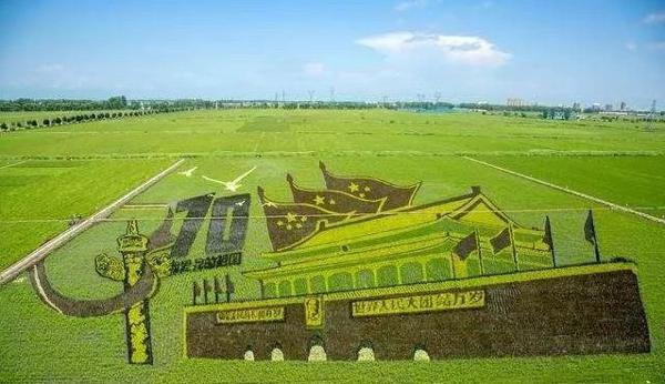 全景呈现:方正县首届稻作文化节盛大开幕! 14