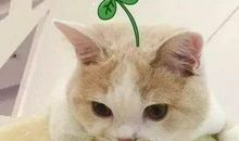 第四届无锡市儿童消防绘画作文大赛征集活动开始啦！