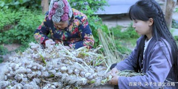 高分作文的3个秘诀,都藏在李子柒这个12分钟的视频里 4