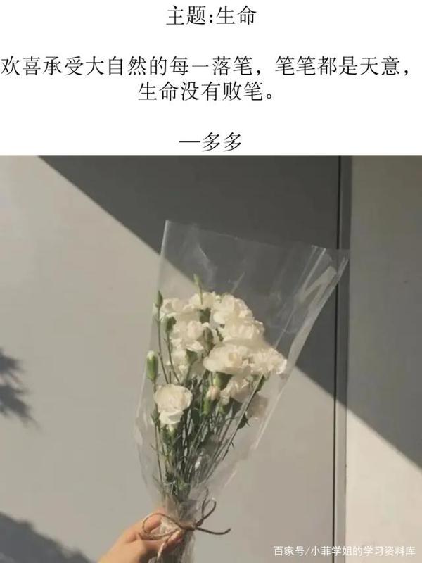 作文素材:百用不腻的宝藏句子 3