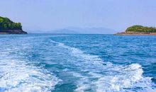 2020高考作文素材挖掘：“后浪”，真鸡汤还是毒鸡汤？