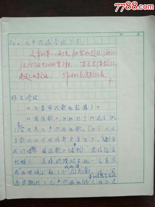 小知青下乡作文