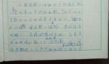 小知青下乡作文