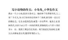 我喜爱的小乌龟-小动物作文800字