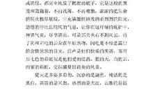 夏之遐想-迷人的夏天作文400字