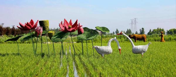 全景呈现:方正县首届稻作文化节盛大开幕! 11