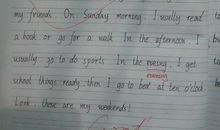 我的新朋友英语作文