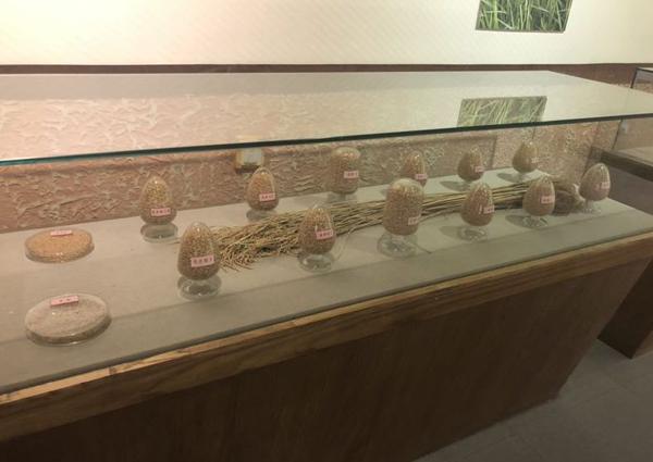 全景呈现:方正县首届稻作文化节盛大开幕! 10