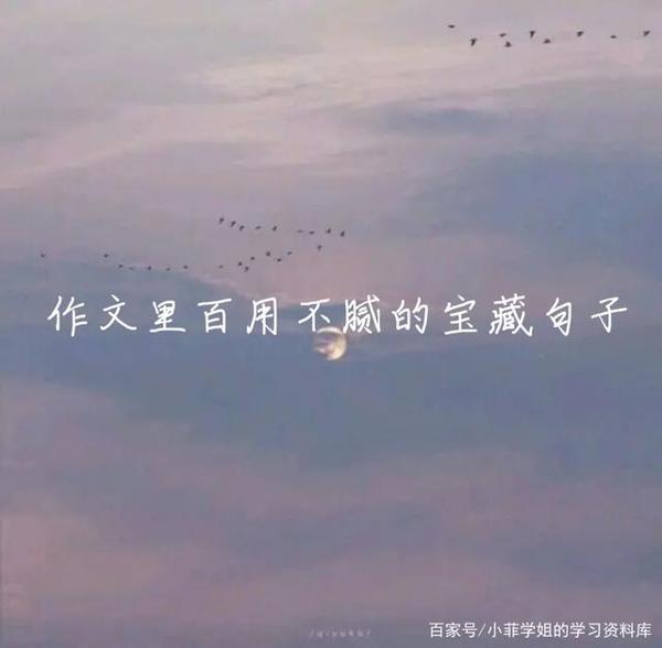 作文素材:百用不腻的宝藏句子