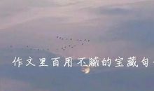 作文素材：百用不腻的宝藏句子