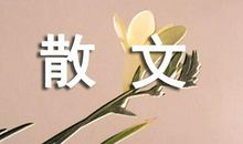 就像一阵风吹过散文