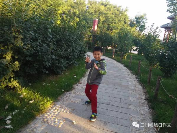 【六年级满分作文光荣榜】郑凯文/旭日教育六年级作文班 1