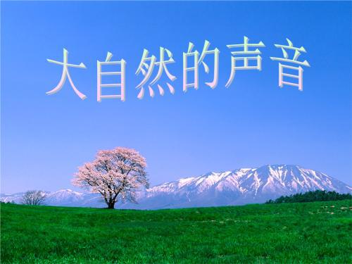 感受大自然的歌声_900字