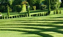 小区附近的大草坪 写景的作文500字