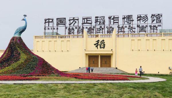 全景呈现:方正县首届稻作文化节盛大开幕! 7