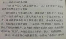 收获-难忘的寒假作文500字