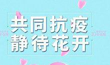 心中有爱，静待花开-抗疫情作文700字