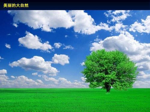 美丽的大自然_700字