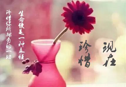 人生需要一束花_900字