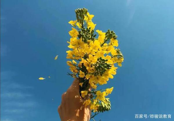 中学生作文:《我有我的故事》,为什么喜欢下雨天呢?