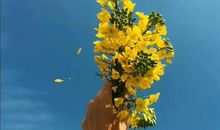 中学生作文：《我有我的故事》，为什么喜欢下雨天呢？