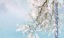 细数时光浅浅成殇的散文