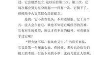 用小草借物喻人的作文500字