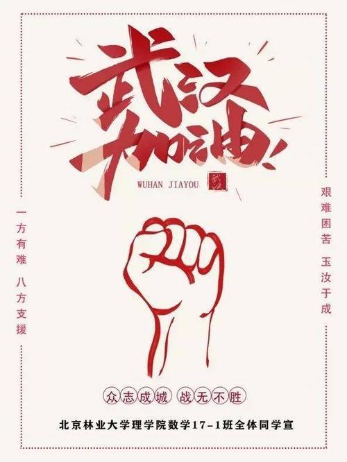 特殊的春节2020 武汉加油中国加油作文700字