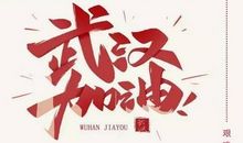 特殊的春节2020 武汉加油中国加油作文700字