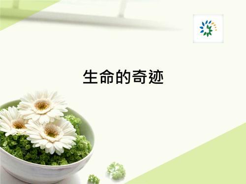 生命的奇迹_650字