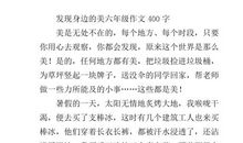 谈美-发现身边的美作文400字