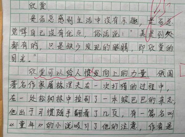 儿子童年的成长,奖状,照片,作文,美好的记忆 6