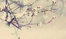 纵然山河有恙，不敌世间盛情 疫情无情人有情作文900字