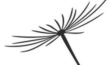 作文阅读培训，我们更专业！