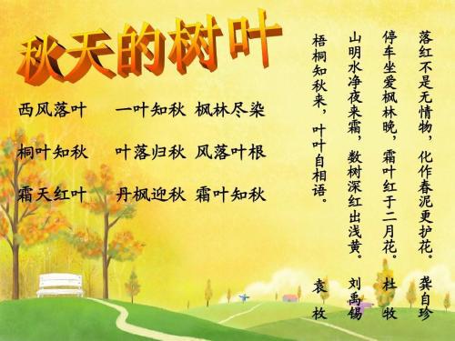 秋之遐想-我爱秋天作文500字