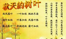 秋之遐想-我爱秋天作文500字