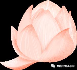 【书香教师】《阅读照亮教育》读后感 4