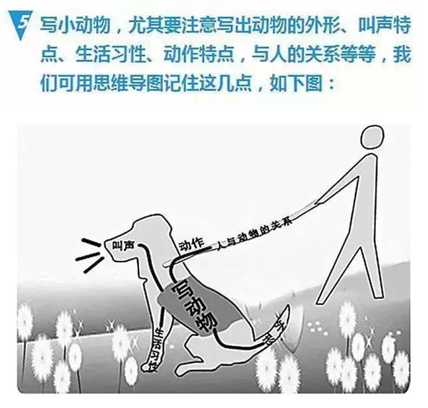 这妈妈真“厉害”，用思维导图教孩子写作文，篇篇成就满分范文！ 2