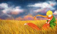 追逐繁星的孩子 读《小王子》有感1000字