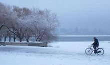 冬之遐想-关于冬天的作文400字