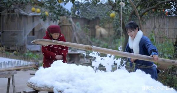 看了20遍李子柒弹棉花,终于写出优秀作文,老师:这就是语文学习 1