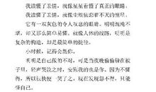 我读懂了那棵松-初中记叙文700字