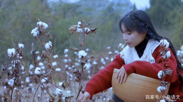看了20遍李子柒弹棉花,终于写出优秀作文,老师:这就是语文学习 2