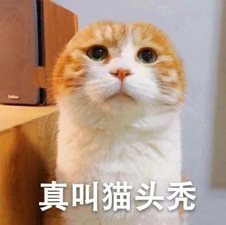 从上图讲座出发，谈谈高考作文“中国味” 1